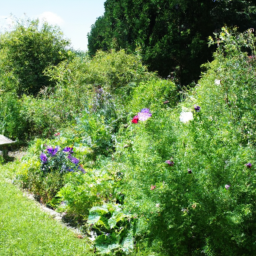 Plantes et Arbres Adaptés à votre Climat et à votre Sol Saint-Cyr-sur-Mer